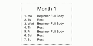 Beginner Full Body Routine Schedule Bar Brothers Groningen For