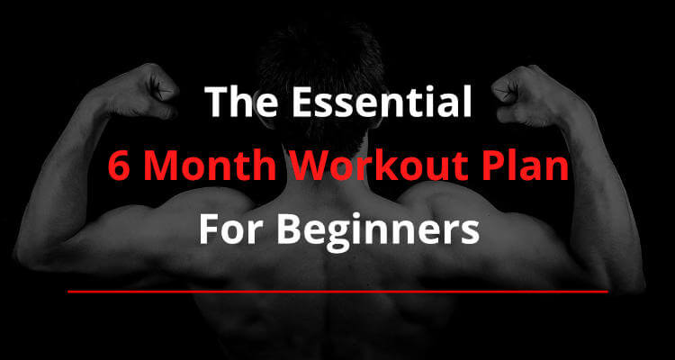 Calisthenics Exercises and Workouts for Beginners: Start Strong!
